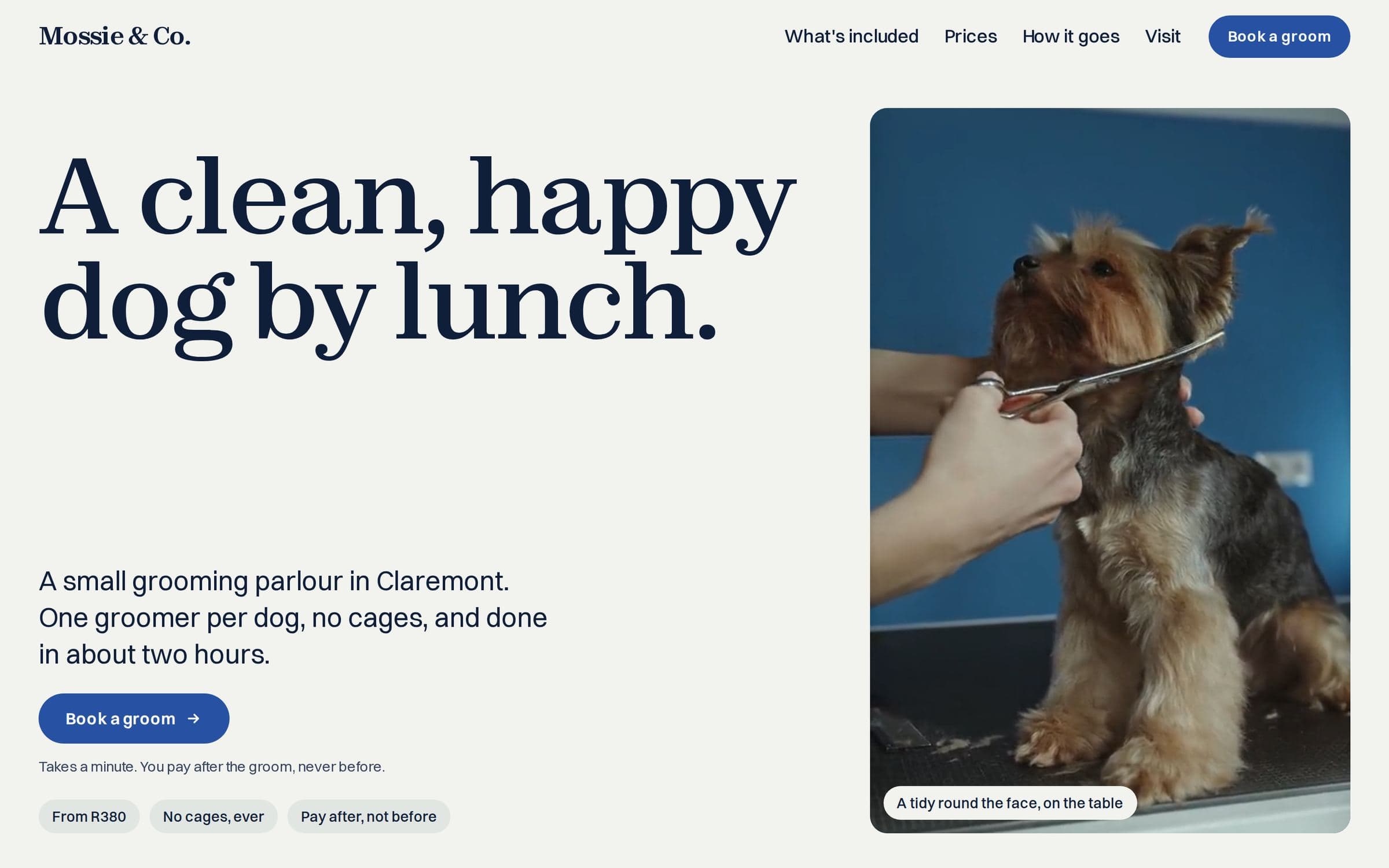 Mossie & Co.'s website on a laptop