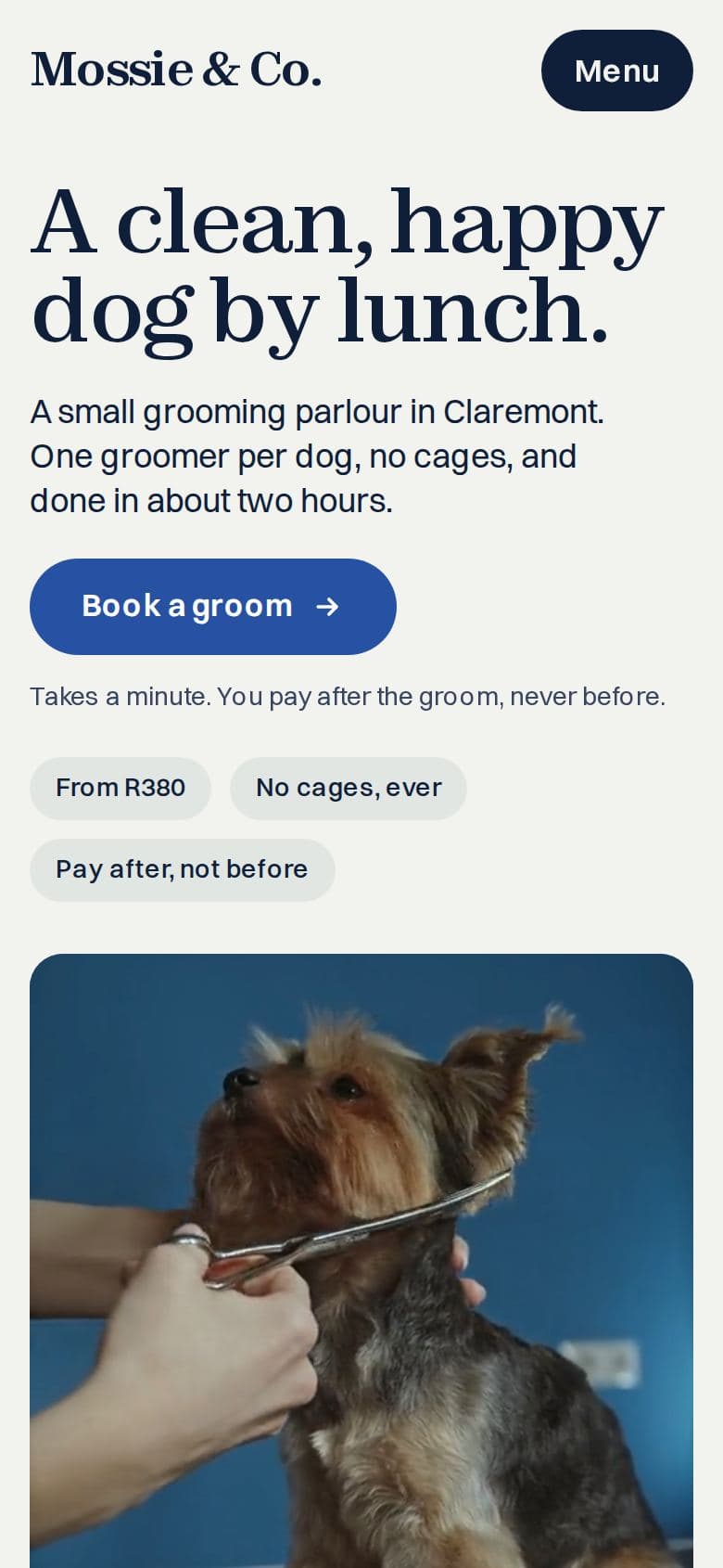 Mossie & Co.'s website on a phone
