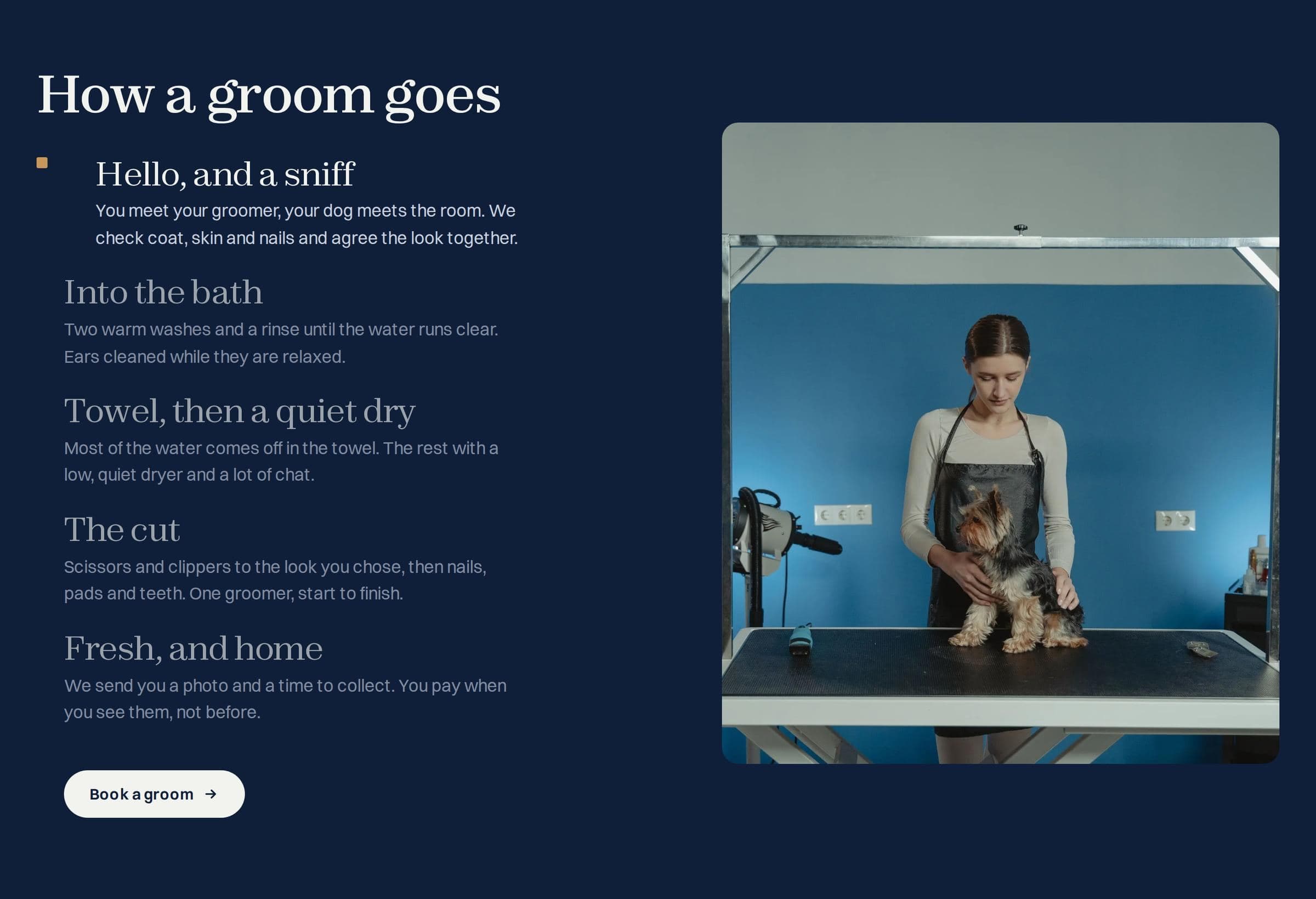 Mossie & Co.'s five grooming steps beside a photo of a groomer with a Yorkshire terrier